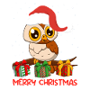 Merry Christmas Owl Christmas