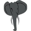 Elefant Head