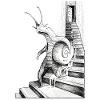 THE SPIRAL STAIRCASES