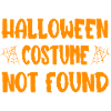 Halloween Costume Not Found