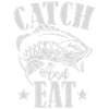 Catch Fish