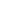 Kitten On Skateboard - Cats