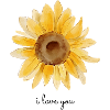 I love you Sunflower