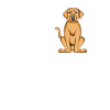 Broholmer Chiens cadeaux