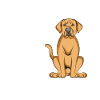 Broholmer Gift Dogs