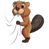 Beaver Children Boys Girls