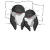 Orca sleep shirt