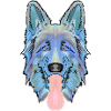 Deutscher Schäferhund Kopf, blau