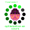 Cerveau: Optimisation en cours ...