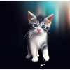Cute Cat