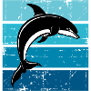 Dolphin Ocean Sea Whale Dolphin