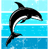Dolphin Ocean Sea Whale Dolphin