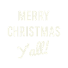 Merry Christmas Y'all