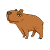 Capybara Mama Wasserschwein