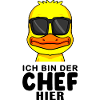 Baby Boy Funny Saying