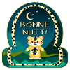BONNE NUIT - TIGRE - DORMIR