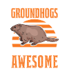 Murmeltier Groundhog Day Waldmurmeltier