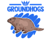 Murmeltier Spirit Animal Marmotte