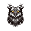 hibou