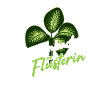 Dieffenbachia Whisperer Houseplant Plants