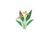 Strelizie Mama