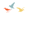 Bird Nerd Shirt Geschenk