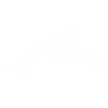 Kultur der Inkas, Delfin