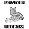 BossCat