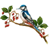 Bunter Vogel