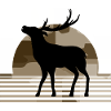 Cerf