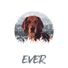 Best Beagle Daddy Ever