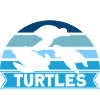 Sea Turtle Turtle Lovers Schildkrö