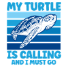 Turtle Keeping Sea Turtle Turtles