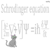 Schrödinger equation