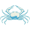 Crab