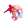 Landshold Serbien Fodbold World Cup
