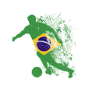 Landshold Brasilien VM