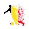 Équipe nationale de Belgique