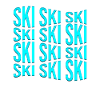 ski