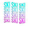 ski