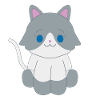 Chat gris et blanc