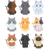 9 small kittens