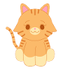 Red cat