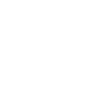I Remembered The Bag