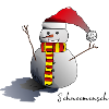 Snowman in winter | Snowman