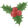 Christmas mistletoe with red berries