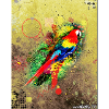 Avian graffiti