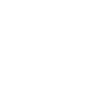 Cat with sunglasses