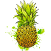 Pineapple / Tropical fruit