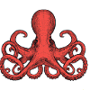 octopus illustration